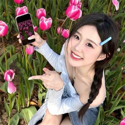 凤舞花飞